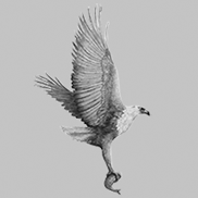 Highway Corporate Services Logo